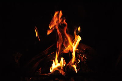 Close-up of bonfire at night