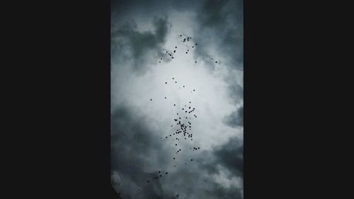 Low angle view of silhouette birds flying against sky