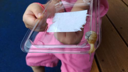 Midsection of child holding snail on plastic lid