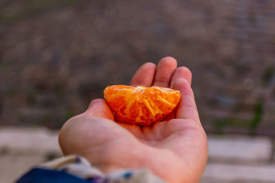 Close-up of hand holding orange leaf