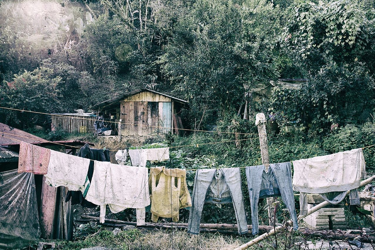 Marco Scintilla