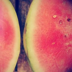 Close up of red flower