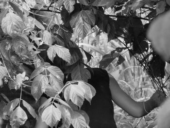 Woman holding plant