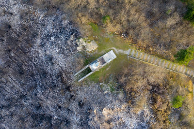 High angle view of road amidst trees