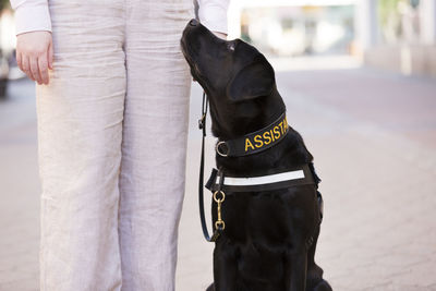Woman walking with assistance dog