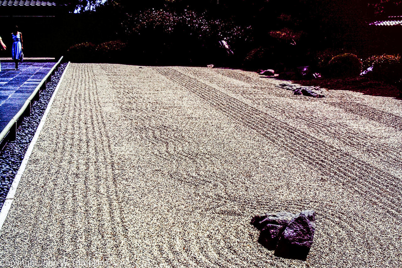 VIEW OF SAND DUNES