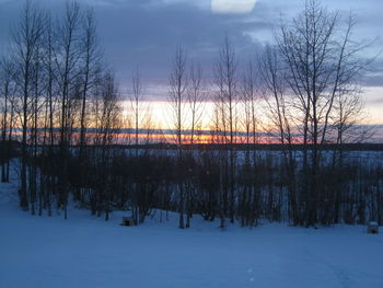 Bare trees on snow covered landscape against sky during sunset