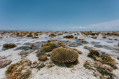 Scenic view of rocks in sea against sky