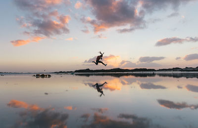 Birds flying over sea against sky during sunset