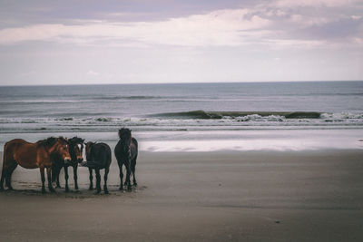 People at beach against sky