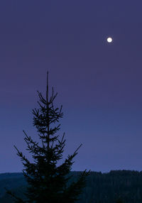 Low angle view of tree against clear blue sky