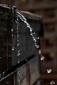 Close-up of water splashing on wood