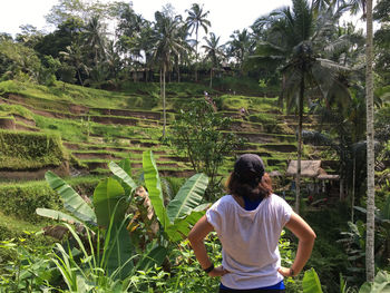 Rear view of woman standing by palm trees