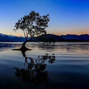 Reflection of tree in lake against sunset sky