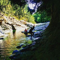 River in forest