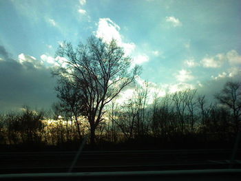Bare trees against cloudy sky