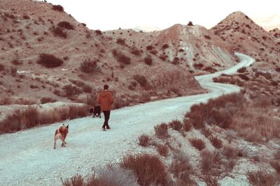 Rear view of people walking on mountain