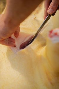 Cropped image of person working on table