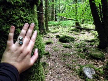 Cropped image of person holding tree trunk in forest