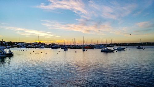 Boats moored at harbor during sunset