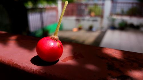 Close-up of red fruit on table