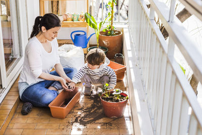 Mother and son planting seed in pot while sitting at balcony