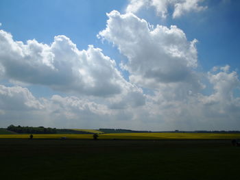 Scenic view of field against sky