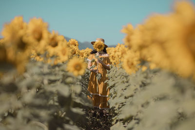 Young woman standing in sunflower field