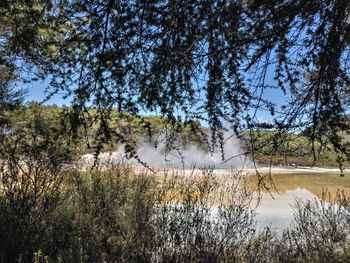 Scenic view of lake in forest against sky