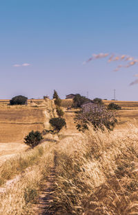 Scenic view of land against sky