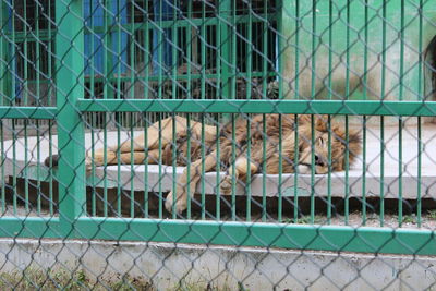 Fence seen through chainlink fence