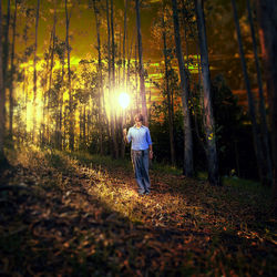 Rear view of man standing by trees in forest