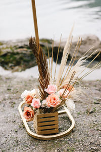 Close-up of plant in basket on field