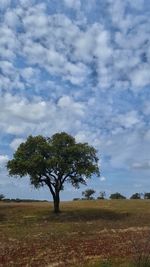 Scenic view of grassy field against cloudy sky