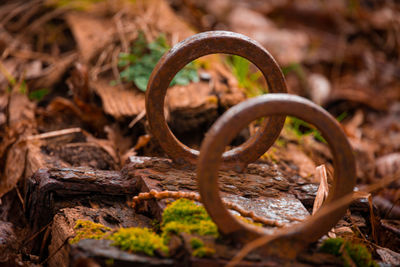 Close-up of rusty metal