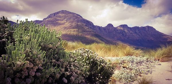 Panoramic view of land and mountains against sky