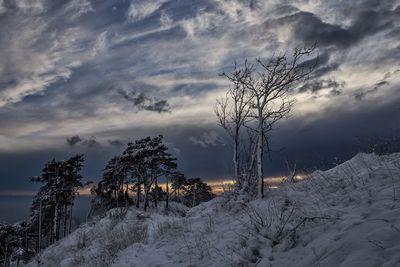 Bare tree on snow covered land against sky