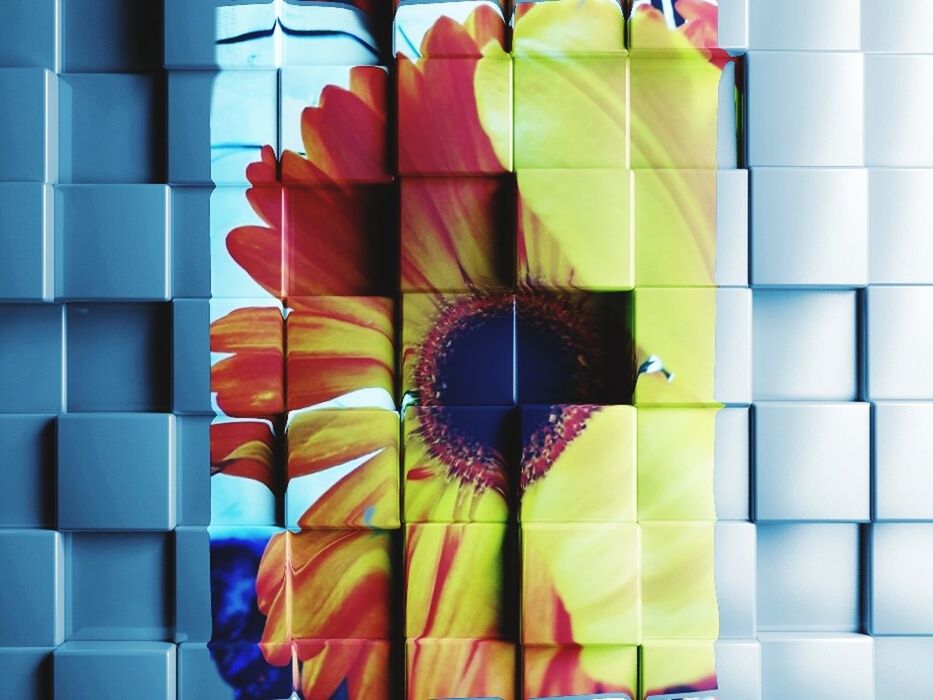 CLOSE-UP OF COLORFUL UMBRELLA