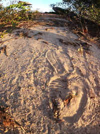 Rock formations in sunlight