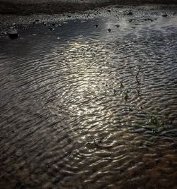 High angle view of rippled water on beach