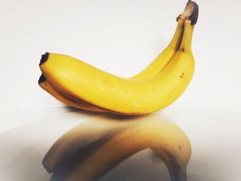 Close-up of yellow fruit against white background