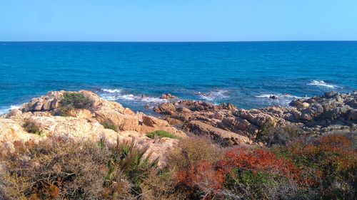 Scenic view of sea against clear sky