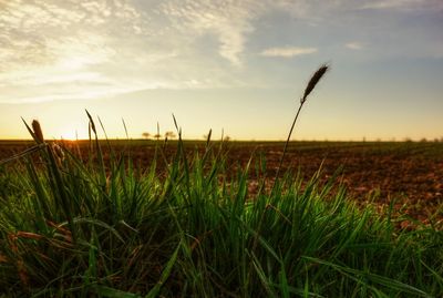 Scenic view of field against cloudy sky