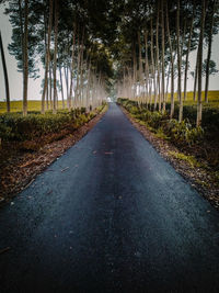 Empty road amidst trees in forest