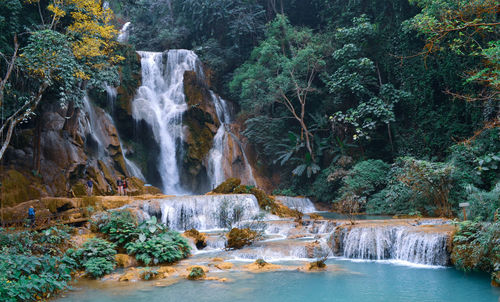 Scenic view of waterfall in forest