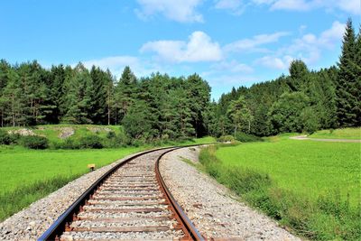 View of railroad track along trees