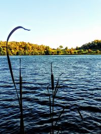 Scenic view of lake against clear sky