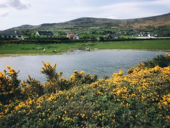 Scenic view of landscape with mountains in background