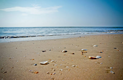 Scenic view of beach