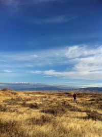 Rear view of man walking on grassy field against blue sky